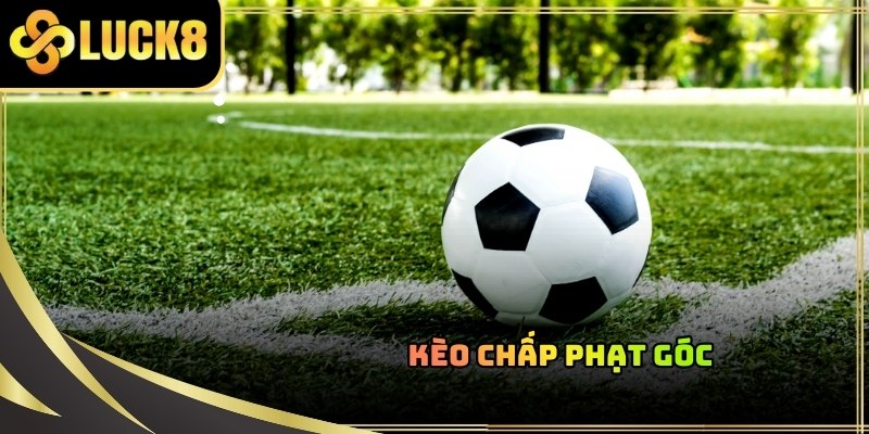 Cách soi kèo phạt góc yêu cầu cược thủ phải có niềm tin vào khả năng ghi bàn