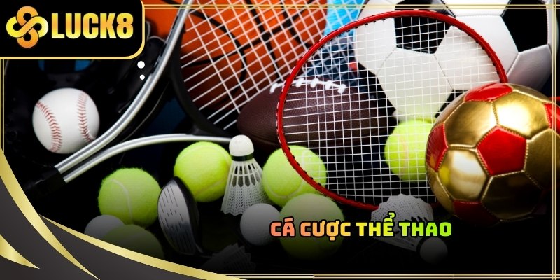 Đăng nhập LUCK8 và tham khảo ý kiến chuyên gia để tăng cơ hội chiến thắng