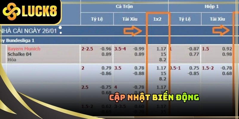 Biến động tỷ lệ là tín hiệu quan trọng phản ánh xu hướng đặt tiền của đám đông